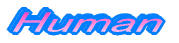 Human